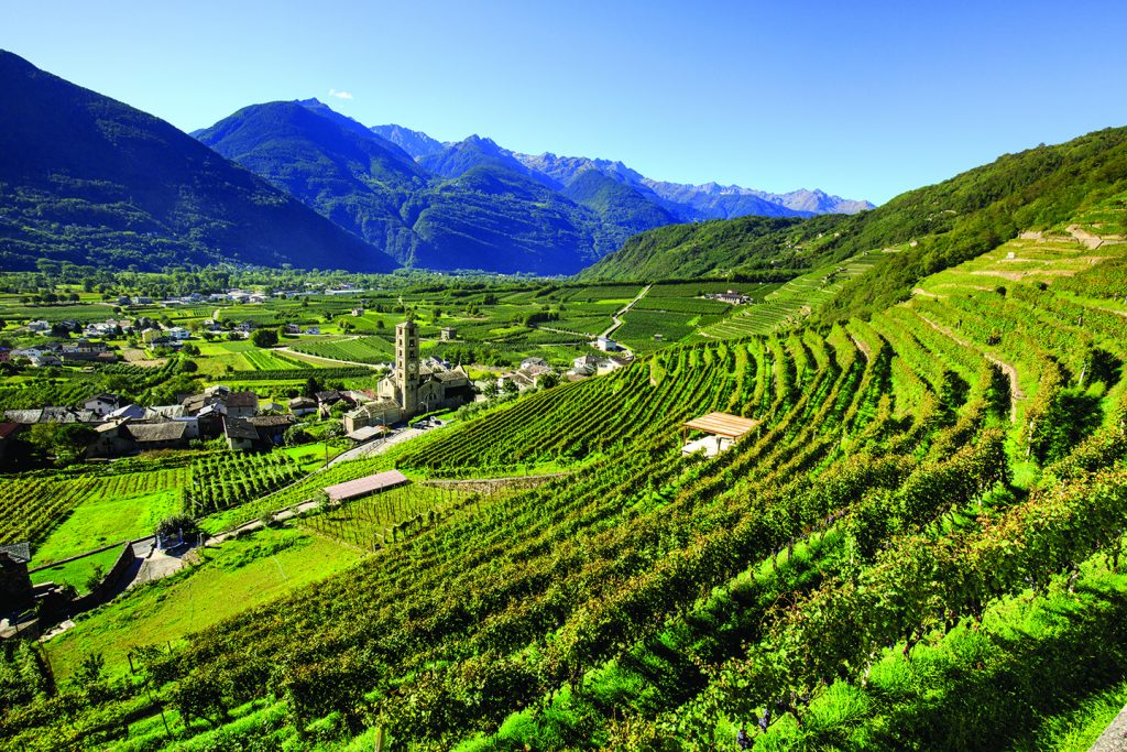 Desfrute de golfe e um ótimos vinhos na região da Lombardia, na Itália